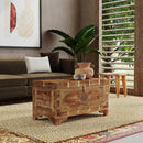 Nador 32 in. W Rectangular Hand-Painted Brass Inlay Storage Trunk Coffee Table by Butler Specialty Company