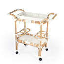Selena 34.5 in. W Rectangular Rattan 2 Tier Mobile Removeable Top Bar Cart with Bottle Holders by Butler Specialty Company