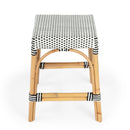 Robias 24.5 in. Seat Height Rectangular Rattan Backless Counter Stool with Footrest by Butler Specialty Company