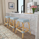 Robias 24.5 in. Seat Height Rectangular Rattan Backless Counter Stool with Footrest by Butler Specialty Company