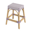 Robias 24.5 in. Seat Height Rectangular Rattan Backless Counter Stool with Footrest by Butler Specialty Company
