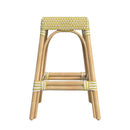 Robias 24.5 in. Seat Height Rectangular Rattan Backless Counter Stool with Footrest by Butler Specialty Company
