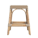 Robias 24.5 in. Seat Height Rectangular Rattan Backless Counter Stool with Footrest by Butler Specialty Company