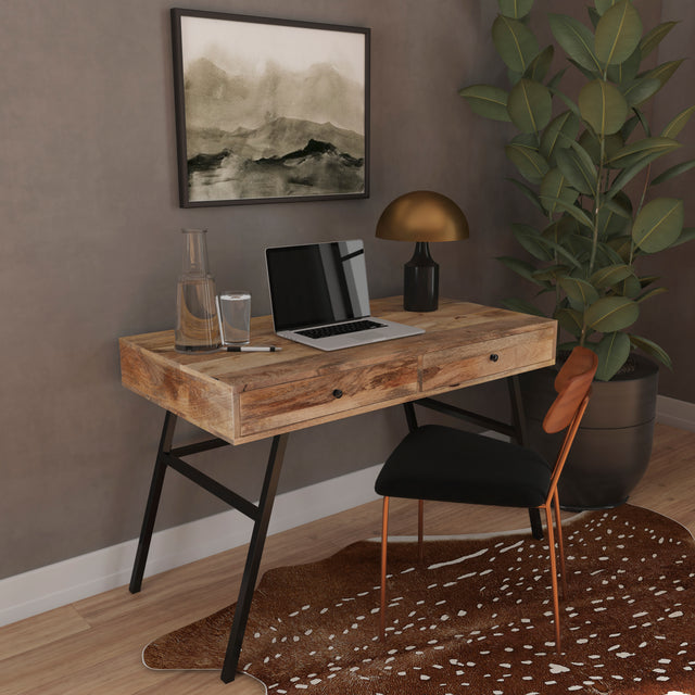 Reison 47.5 in. W Rectangular Wood and Metal 2 Drawer Industrial Writing Desk by Butler Specialty Company