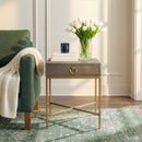Sullia 20 in. W Rectangular Leather and Steel 1 Drawer End Table by Butler Specialty Company