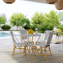 Tobias 18.5 in. Seat Height Outdoor Rattan and Metal  Dining Side Chair by Butler Specialty Company