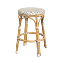 Tobias 24.5 in. Seat Height Outdoor Rattan and Metal Backless Counter Stool by Butler Specialty Company