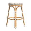 Tobias 24.5 in. Seat Height Outdoor Rattan and Metal Backless Counter Stool by Butler Specialty Company
