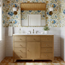 Nora 48 in. W Quartz and Wood Single Sink 8 Drawer Bathroom Vanity Set by Butler Specialty Company