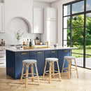 Tobias 24 in. Seat Height Round Rattan Backless Counter Stool by Butler Specialty Company