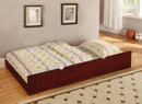 Furniture of America - OMNUS Trundle Accessory (CM-TR452-CH)