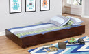 omnus-trundle-w-2-dividers