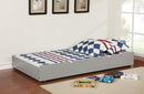 omnus-trundle-w-2-dividers