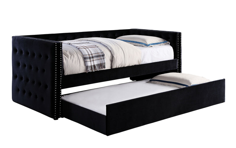 Susanna Transitional Daybed with Trundle
