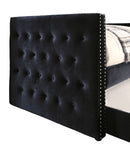 Susanna Transitional Daybed with Trundle