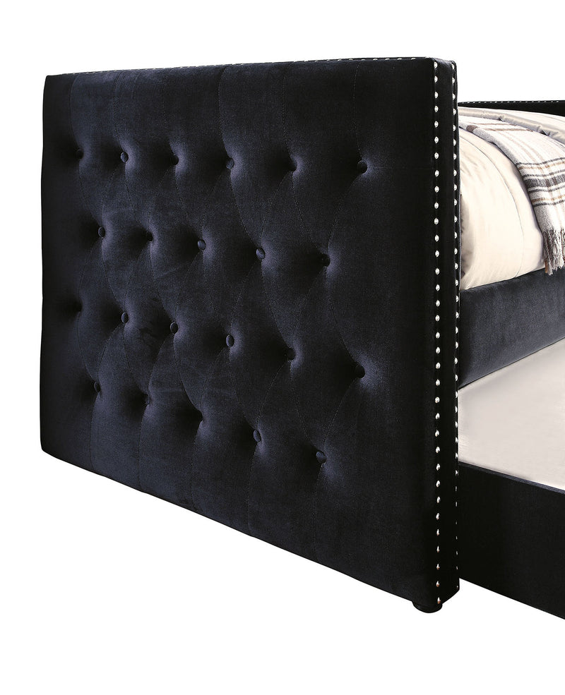 Susanna Transitional Daybed with Trundle