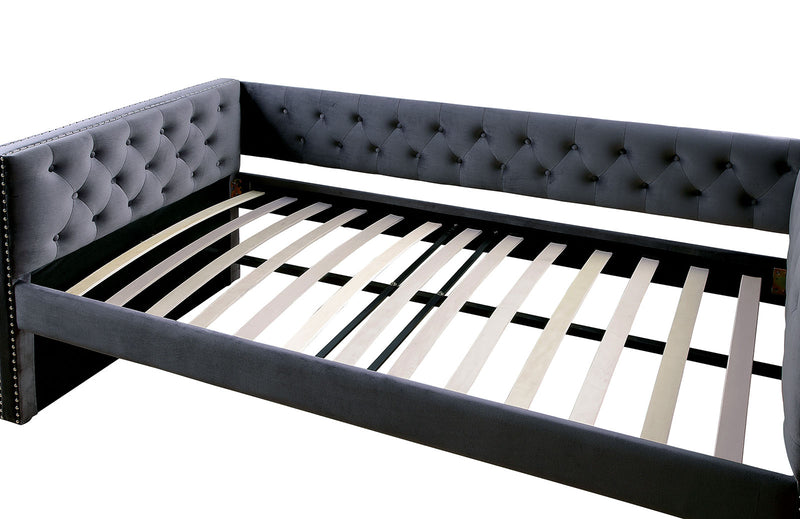 Susanna Transitional Daybed with Trundle