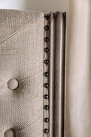 patience-side-chair-2-ctn