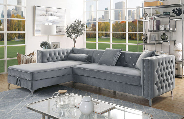 amie-sectional