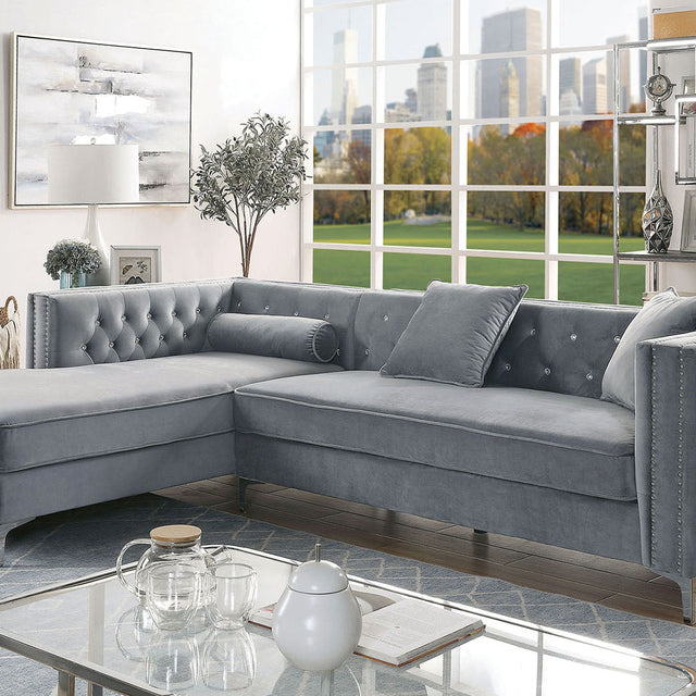 amie-sectional