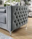 amie-sectional