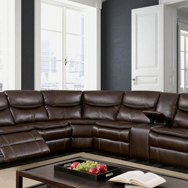 pollux-sectional-motion