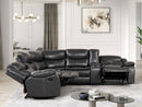 pollux-sectional-motion