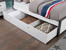 omnus-trundle-w-2-dividers