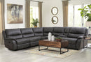 jerominus-sectional-motion