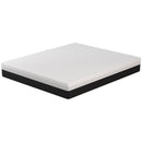 VERBENA 12" Hybrid Mattress