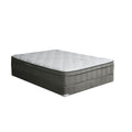 AFTON 12" Euro Box Pocket Coil Mattress