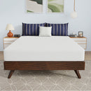 nasturtium-8-bamboo-charcoal-infused-memory-foam-mattress