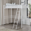 myles-loft-bed-bunk-bed