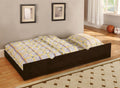 Furniture of America - OMNUS Trundle w/2 Dividers (FM-TR453-ES)