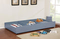 omnus-trundle-w-2-dividers