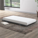 Furniture of America - IVANA Universal Metal Trundle (FM-TR900BK)