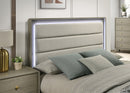 rainier-queen-bed