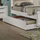 Furniture of America - LAREINA Trundle Bed (FM72081WH-TR)