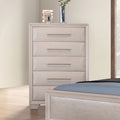 chemnitz-chest