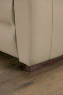 altamura-power-sofa-and-loveseat-motion