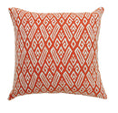 cici-22-x-22-pillow-2-ctn