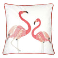 lina-20-x-20-pillow-2-ctn