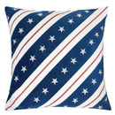washton-20-x-20-pillow-2-ctn