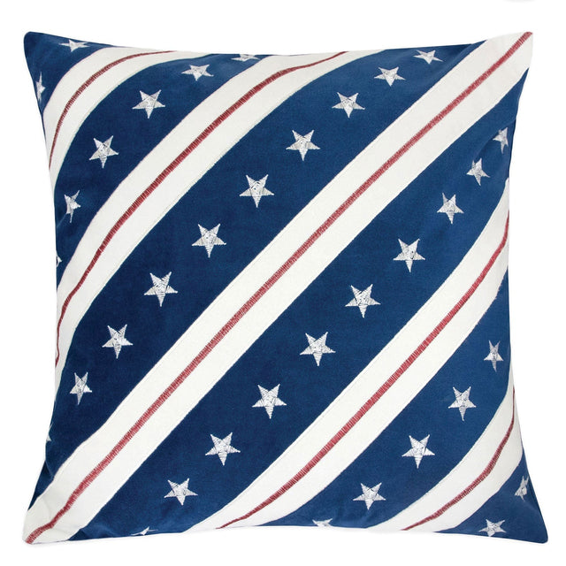 washton-20-x-20-pillow-2-ctn