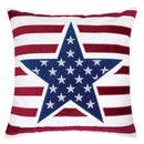 texis-20-x-20-pillow-2-ctn