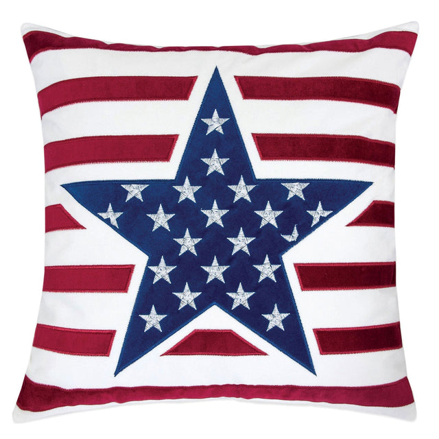 texis-20-x-20-pillow-2-ctn