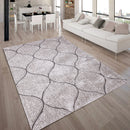 hepsiba-5-x-7-area-rug