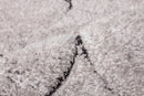 hepsiba-5-x-7-area-rug