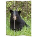 Screen Gems Bear Screen Room Divider SG-108