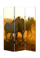 Screen Gems Round Up Screen Room Divider SG-111